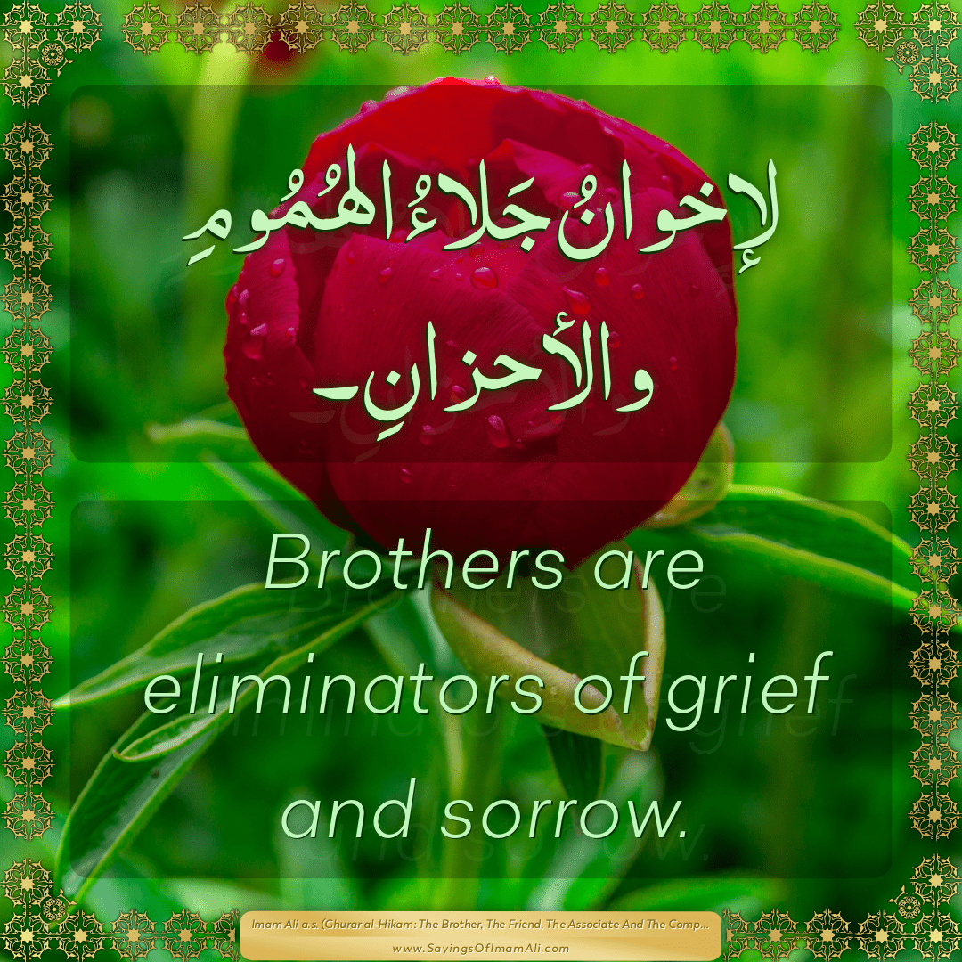 Brothers are eliminators of grief and sorrow.